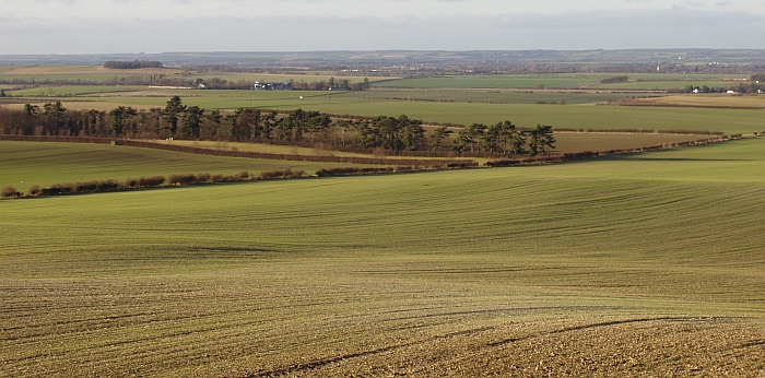 chalk-hills-scarps-chalk-landscape-heydon-cambs-%C2%A9-geo-east.jpg