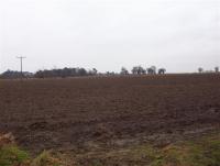 Arable upland to north of River Yare near Strumpshaw, Norfolk.  (© L Marsden / A Yardy)