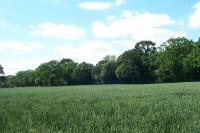 Wooded Plateau Farmlands + Looking W from Red Willow, Harlow, Essex (2004) (© HCC Landscape)
