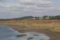 Valley Meadowlands at Catterwade on the River Stour (© Suffolk County Council)