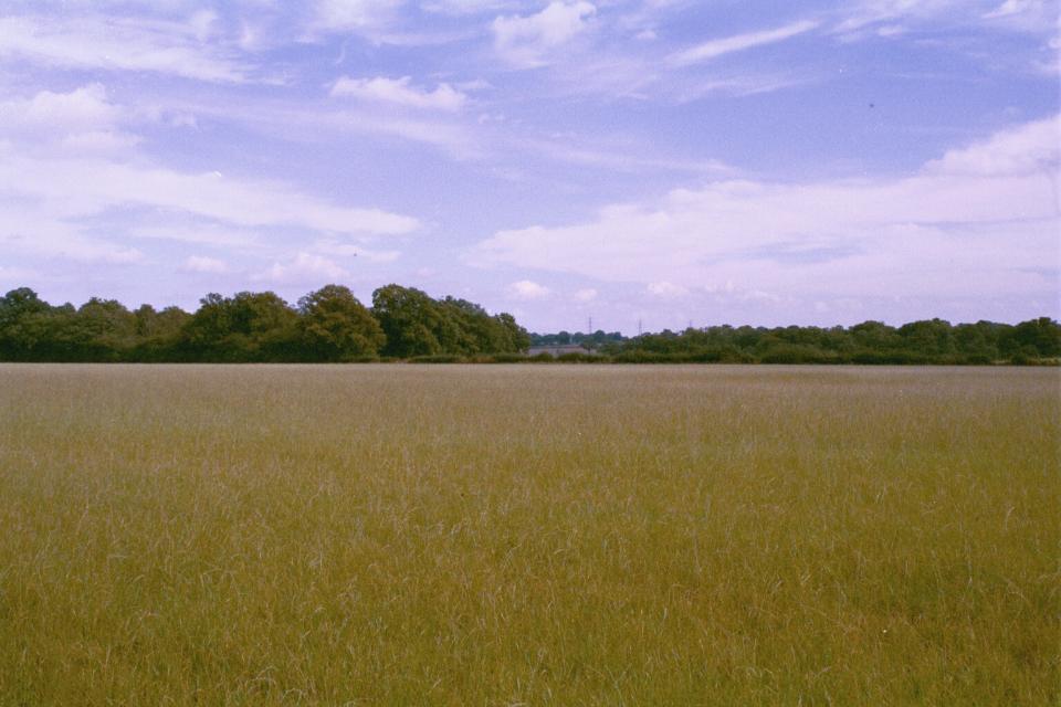 Wooded Hills and Ridges - Plateau farmland adjacent to Kentish lane, Hertfordshire (© HCC Landscape)