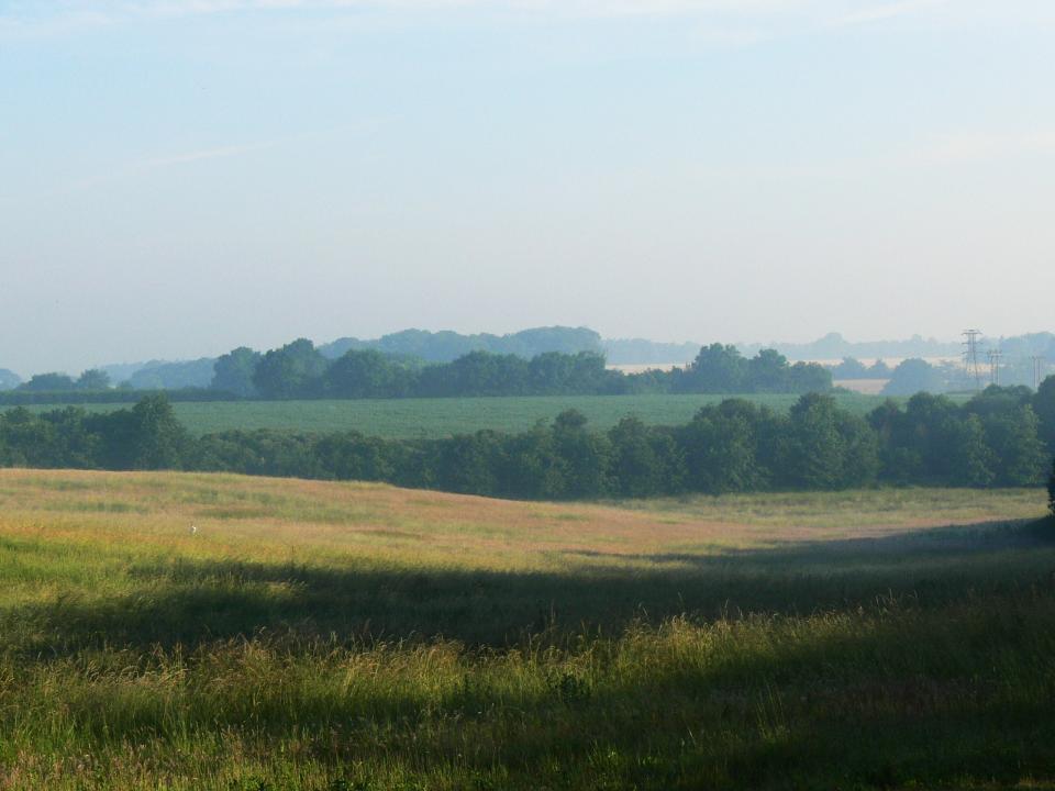 suffolk landscape