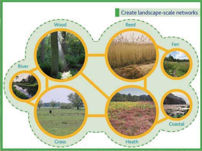 Natural england biodiversity strategy