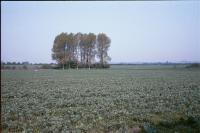 Lowland Village Chalklands + North of Hexton, Hertfordshire (1999) (© HCC Landscape)