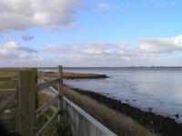 Breydon Water showing flood defence in foreground. (© L Marsden / A Yardy)