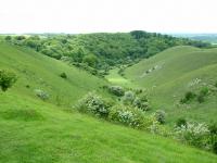 Chalk Hills and Scarps + Barton Hills SSSI, Bedfordshire (2006) (© HCC Landscape)