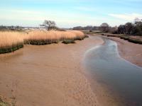 Roman River looking towards Rowhedge and Wivenhoe (© Essex CC)